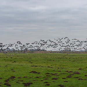 210116 Dedesdorf-1.jpg