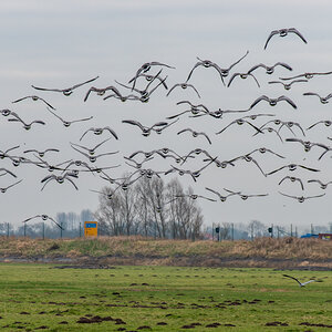 210116 Dedesdorf-2.jpg