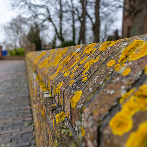 210116 Dedesdorf-7.jpg