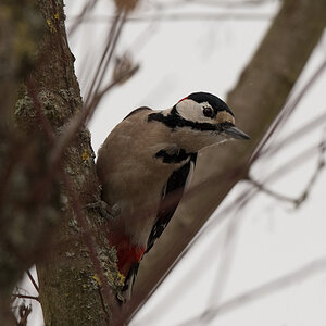 NF_DSC_5752.jpg