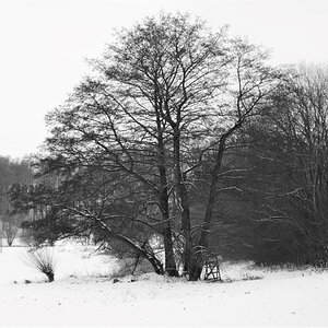 DSCN3069 (2)n.JPG