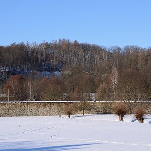 DSC_7856_00001n.jpg