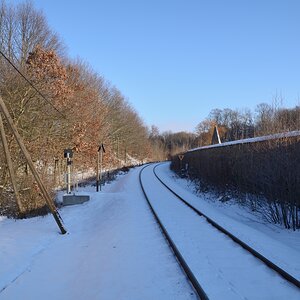 DSC_7879_00001n.jpg