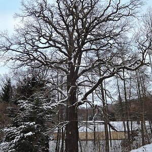 DSCN3099n.JPG