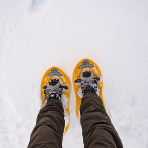 2021-01-16_Hornisgrinde_01.jpg