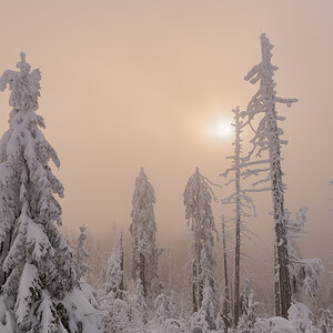 2021-01-16_Hornisgrinde_04.jpg