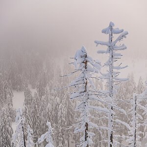 2021-01-16_Hornisgrinde_06.jpg