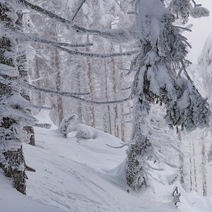 2021-01-16_Hornisgrinde_07.jpg