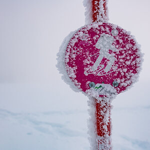 2021-01-16_Hornisgrinde_08.jpg