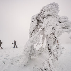 2021-01-16_Hornisgrinde_10.jpg