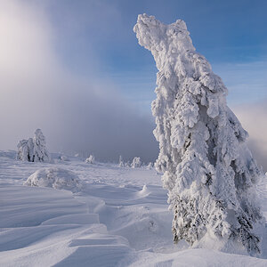 2021-01-16_Hornisgrinde_11.jpg