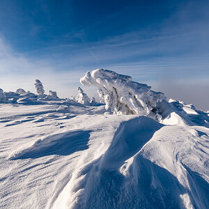 2021-01-16_Hornisgrinde_12.jpg
