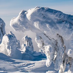 2021-01-16_Hornisgrinde_14.jpg