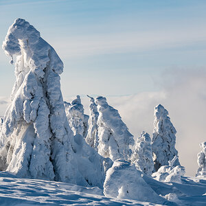 2021-01-16_Hornisgrinde_15.jpg