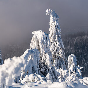 2021-01-16_Hornisgrinde_16.jpg