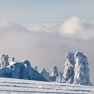 2021-01-16_Hornisgrinde_17.jpg