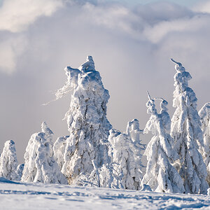 2021-01-16_Hornisgrinde_18.jpg