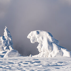 2021-01-16_Hornisgrinde_19.jpg
