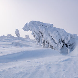 2021-01-16_Hornisgrinde_21.jpg