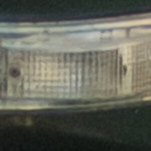 DSCF6566-1-2.JPG
