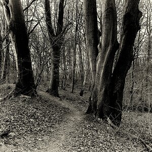 TZ_2021-01-17 15-33_SW.jpg
