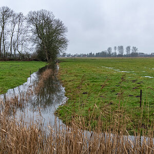 210119 Wiemsdorf-1.jpg
