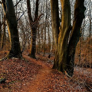 TZ_2021-01-17 15-33.jpg