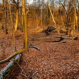 TZ_2021-01-17 15-35.jpg