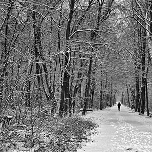 joggen_im_wald_1200.jpg