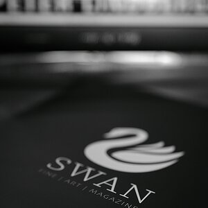 Swan