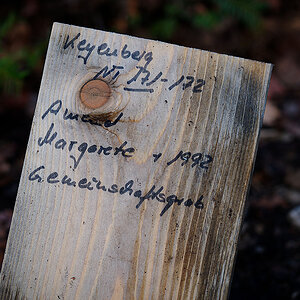 L Lütze (13).jpg