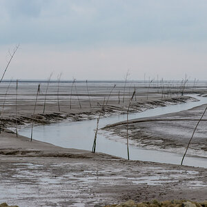 210123 Dorum-2.jpg