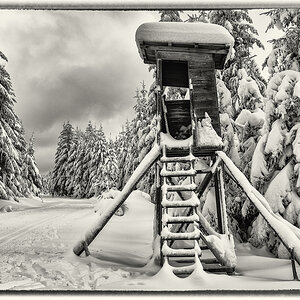 Kaltenbronn-3137-Bearbeitet.jpg