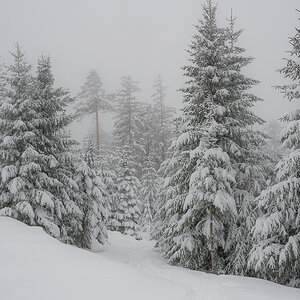 Reichental-Schwarzmiss-Schneeschuhe-3316.jpg