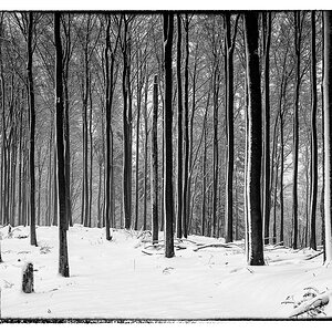 Reichental-Schwarzmiss-Schneeschuhe-3331-Bearbeitet.jpg