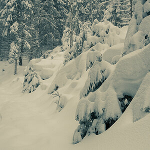 Reichental-Schwarzmiss-Schneeschuhe-3312.jpg