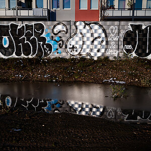 SF2_0867.jpg