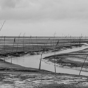 210123 Dorum SW-1.jpg