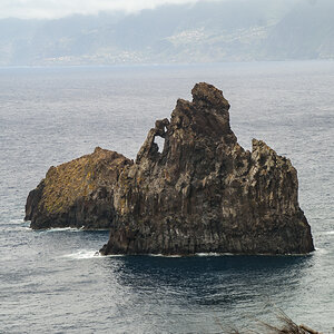 20210129 wowarich.jpg