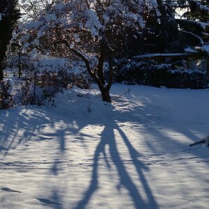 DSC_7973_00001_02n.jpg