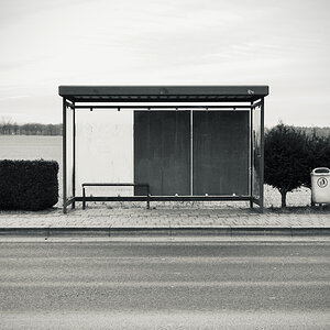 DSC00021.jpeg