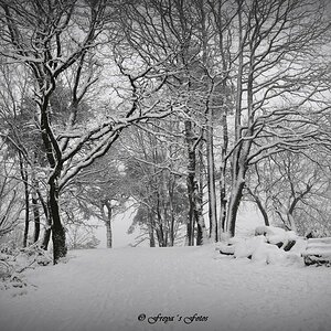 DSC_0033.JPG