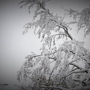 DSC_0025.JPG