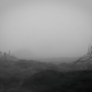 Morgennebel