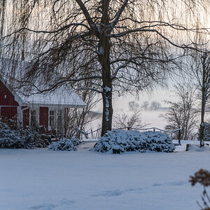 210130 Wiemsdorf-3.jpg