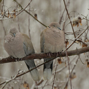 NF_DSC_5855.jpg