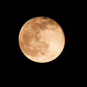 NF_DSC_5976.jpg