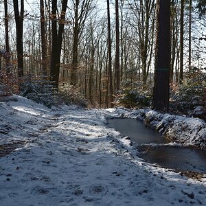 DSC_0333_00001n.jpg