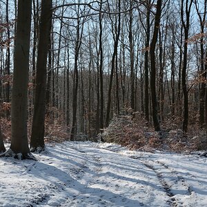 DSC_0335_00001n.jpg