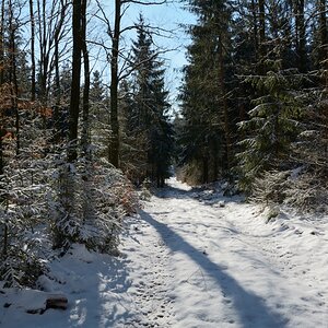 DSC_0343_00001n1.jpg